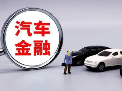 特克斯押车贷款不是本人可以么?